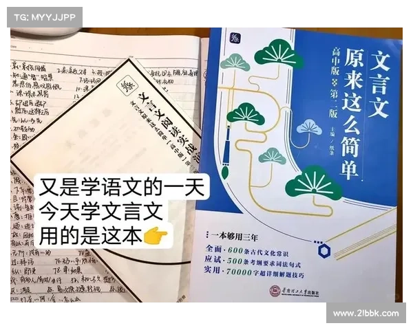 强效位面精华全面解析从基础理论到实战应用的全方位剖析 强效位面精华全面解析从基础理论到实战应用的全方位剖析