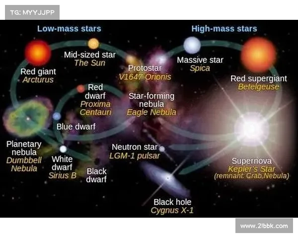 星系演化与形成机制中的关键因素及其相互关系解析 星系演化与形成机制中的关键因素及其相互关系解析