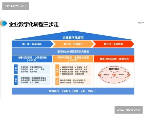 数字化转型与青云助力企业选择路径分析与实践指南 数字化转型与青云助力企业选择路径分析与实践指南