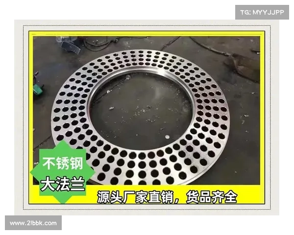 以法兰的结构与性能优势详解：连接、密封与标准化应用解析为标题如何？